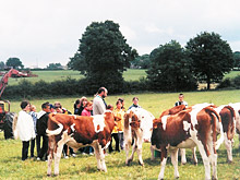 visite de la ferme